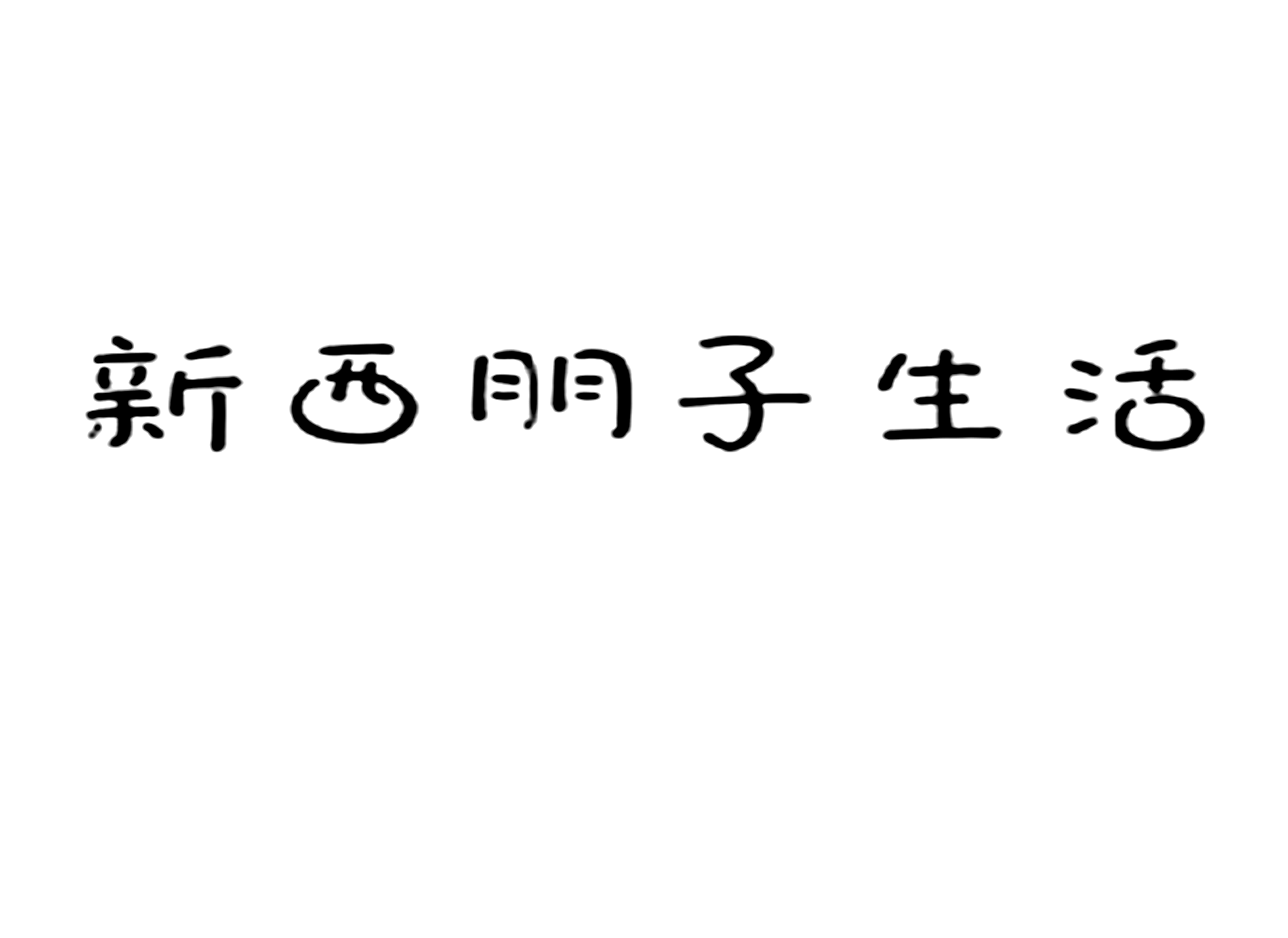 新西朋子生活